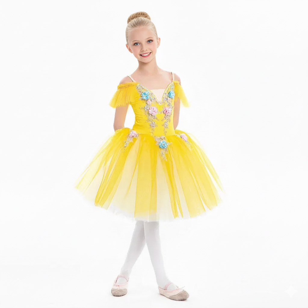 Girls Ballet Tutu Dress with Embroidery