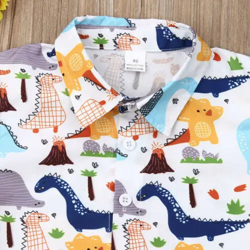 Dinosaur Print Baby Boy Summer Outfit Set