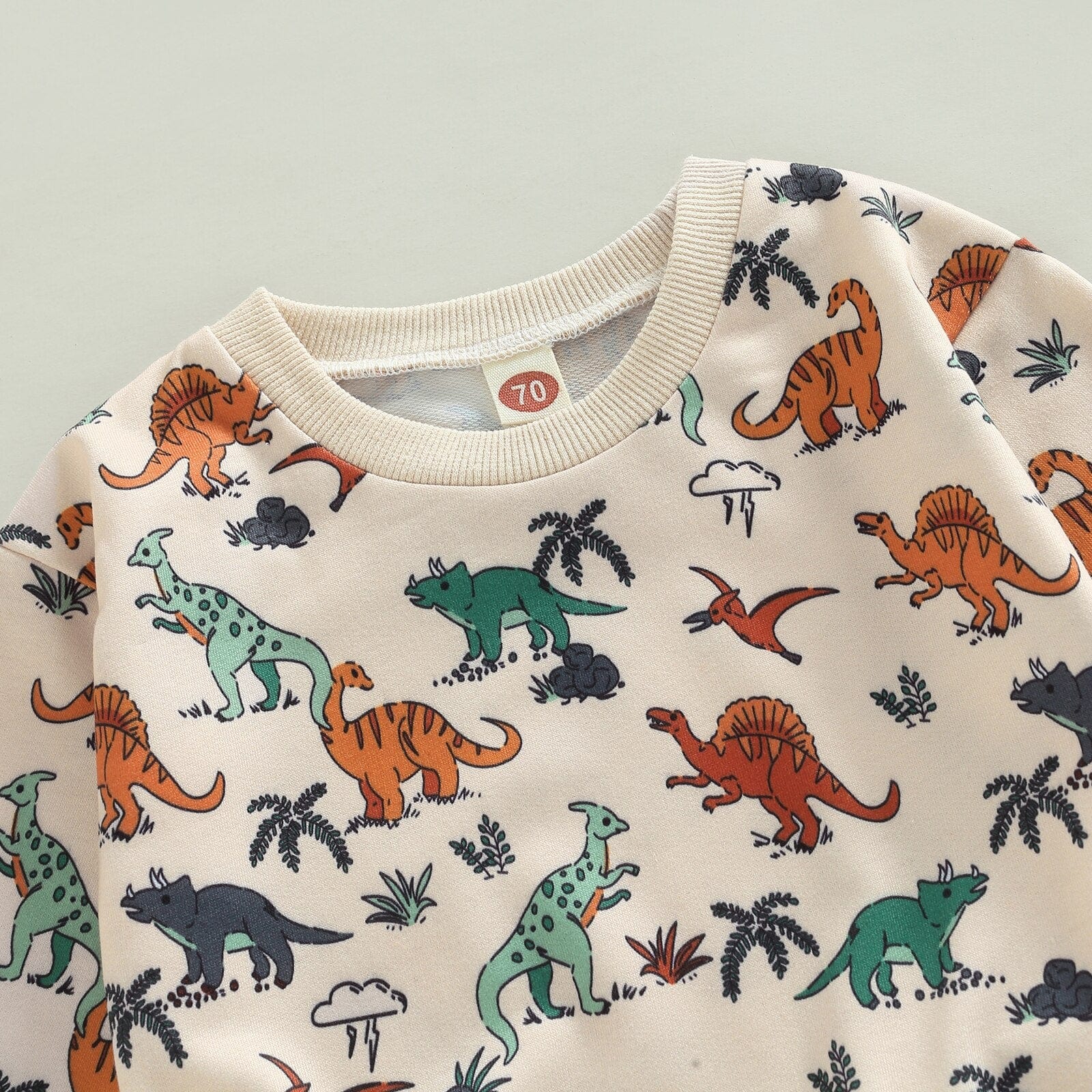 Cartoon Dinosaur Boy Clothes Set