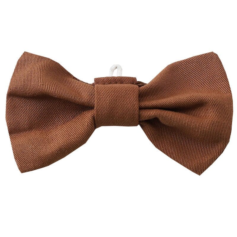 Formal Gentleman Clothing