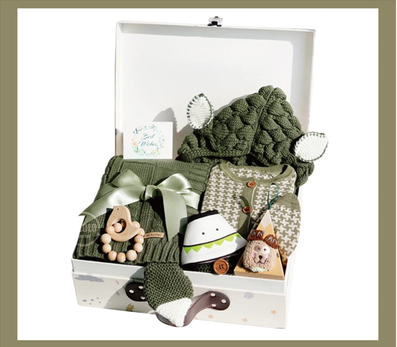 Dinosaur Baby Winter Gift Set