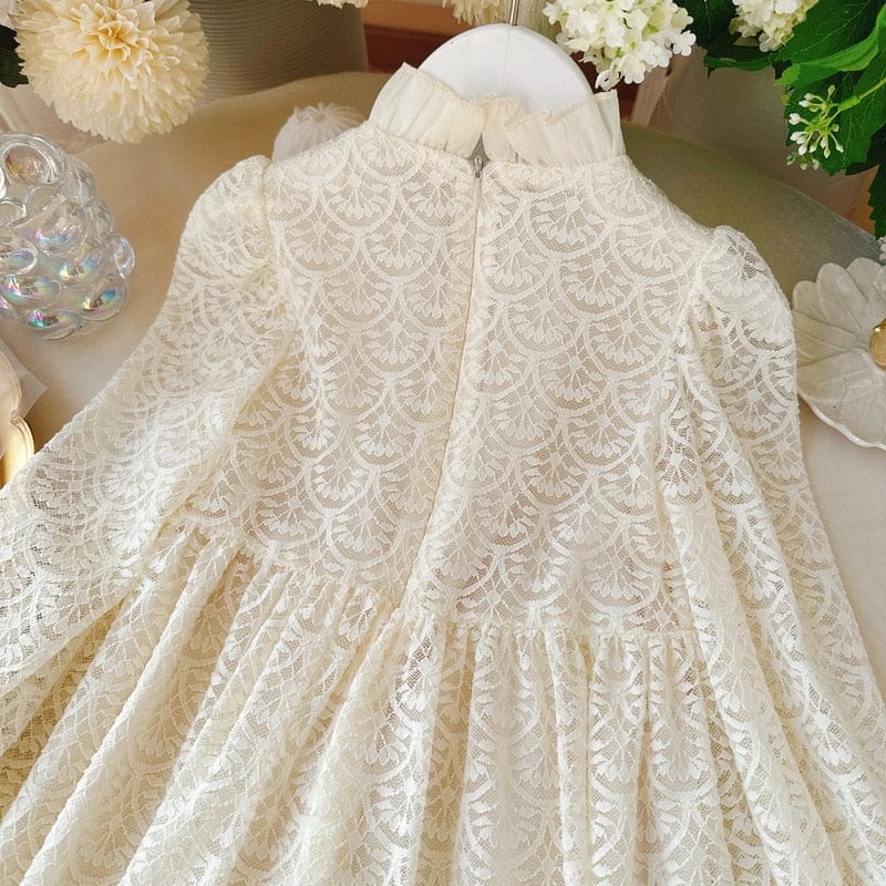 Lace Princess Dresses