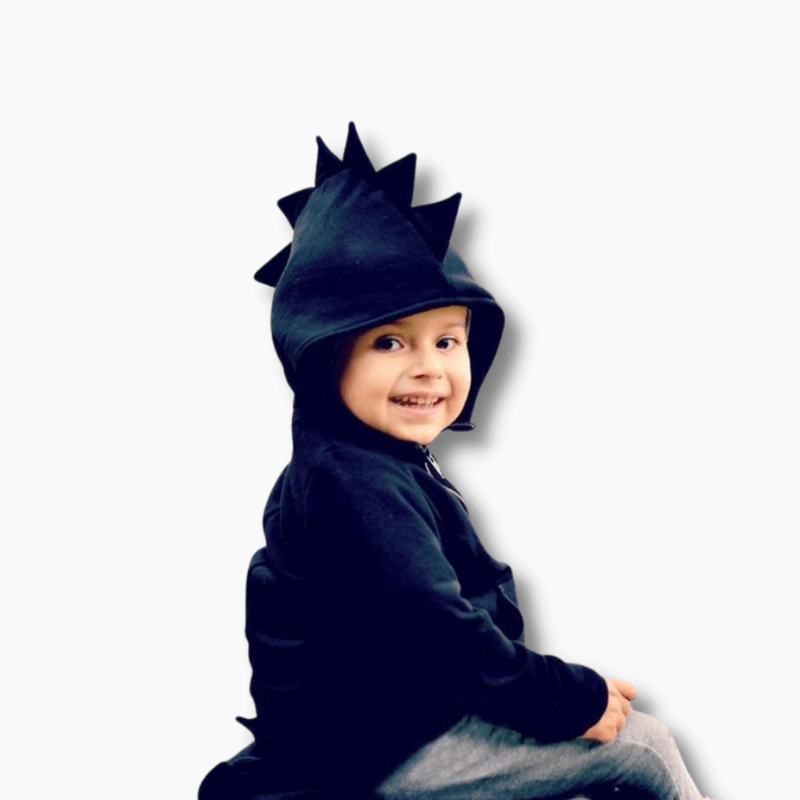 Boy's Clothing Toddlers Dinosaur Hoodies