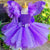 Fairy Costume Tutu Dress with Wings for Girls