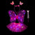 LED Fairy Costume Set for Girls