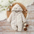 Baby Winter Plush Hooded Jumpsuit