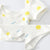 Unisex Baby Summer Romper