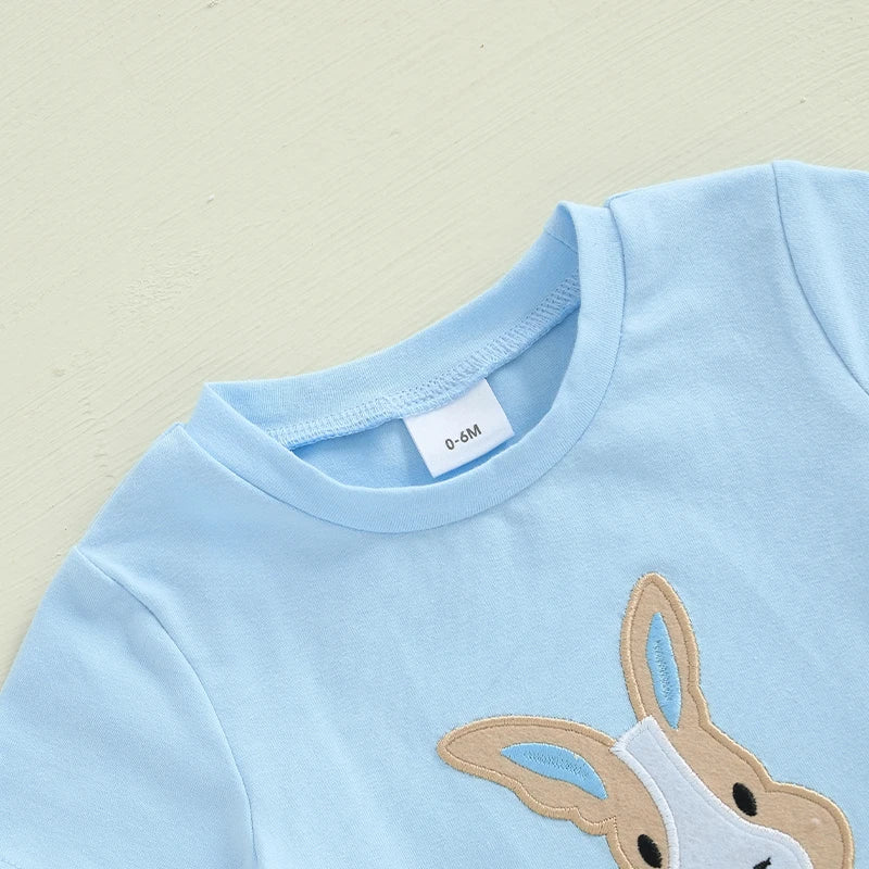 2-Piece Toddler Boy's Easter Embroidery & Plaid Shorts