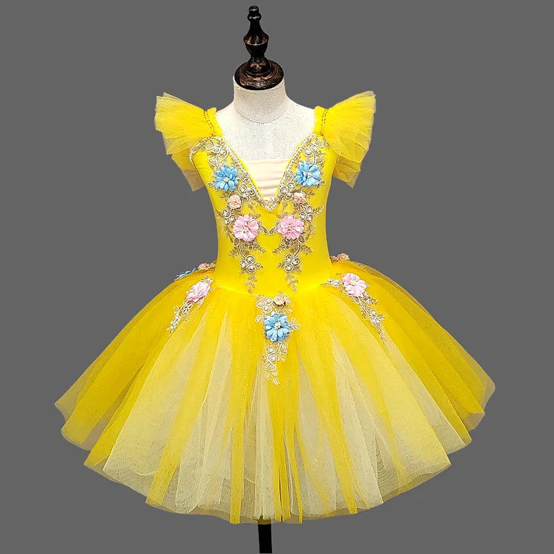 Girls Ballet Tutu Dress with Embroidery