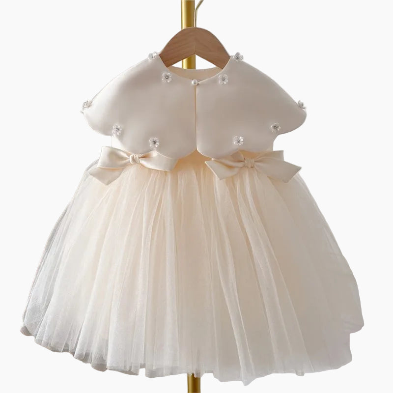 Baby & Toddler Silk and Tulle Princess Gown