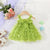 Green / 3-6M Baby Girl Butterfly Mesh Dress