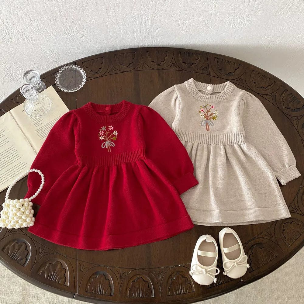 Baby Girl Embroidered Knit Dress