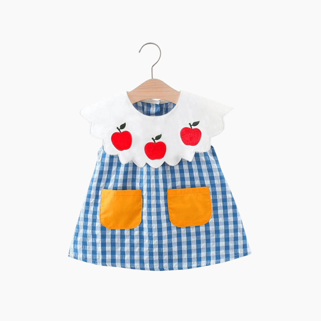 Blue Plaid Doll Collar Dress