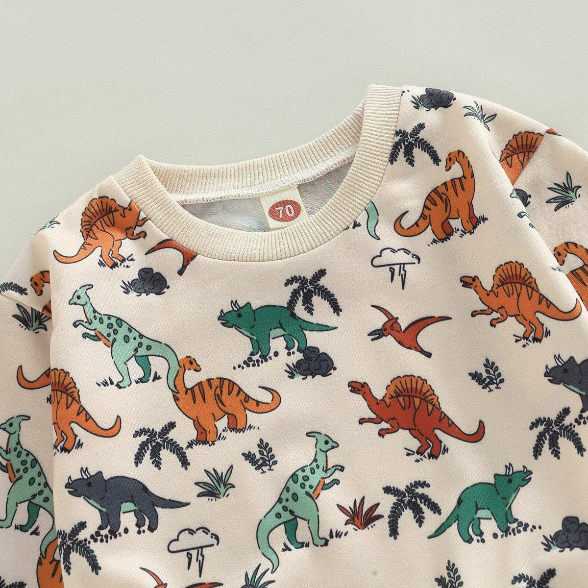 Cartoon Dinosaur Boy Clothes Set