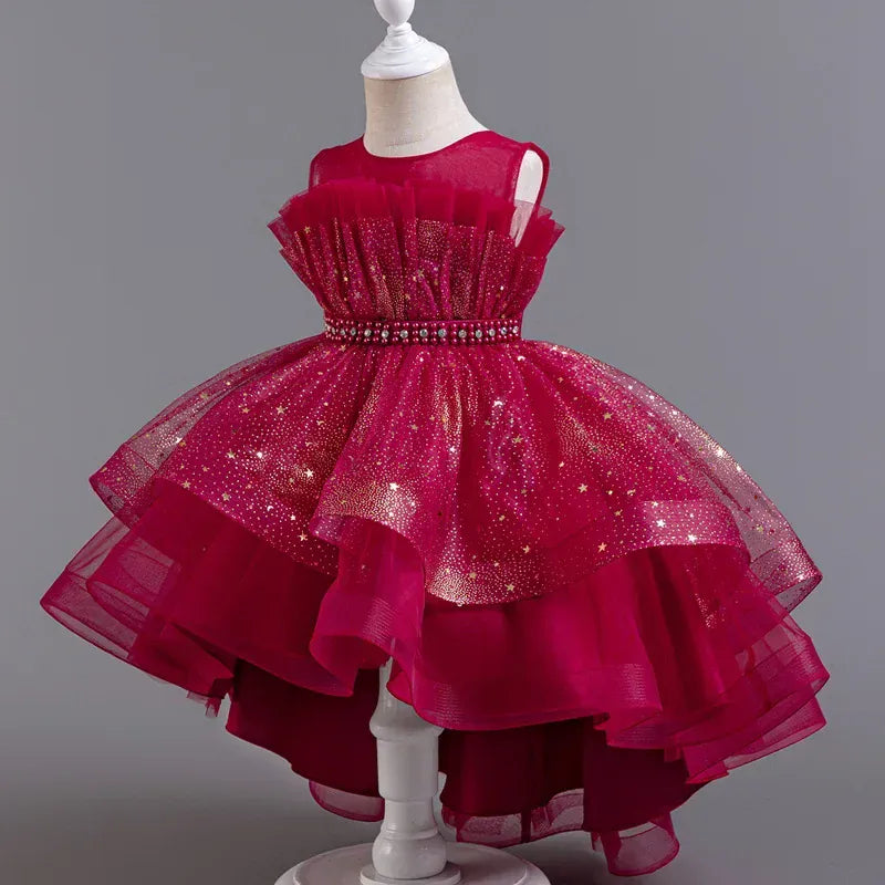Rose Red / 2-3T Girl's High-Low Tulle Dress