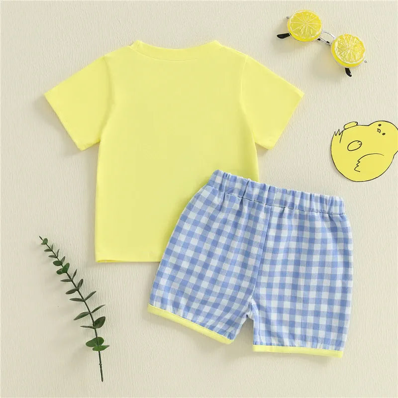 Toddler Boy Stacked Chick Embroidery Yellow T-Shirt & Blue Plaid Shorts 2-Piece Summer Set