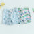 Toddler Boys Summer Swim Trunks