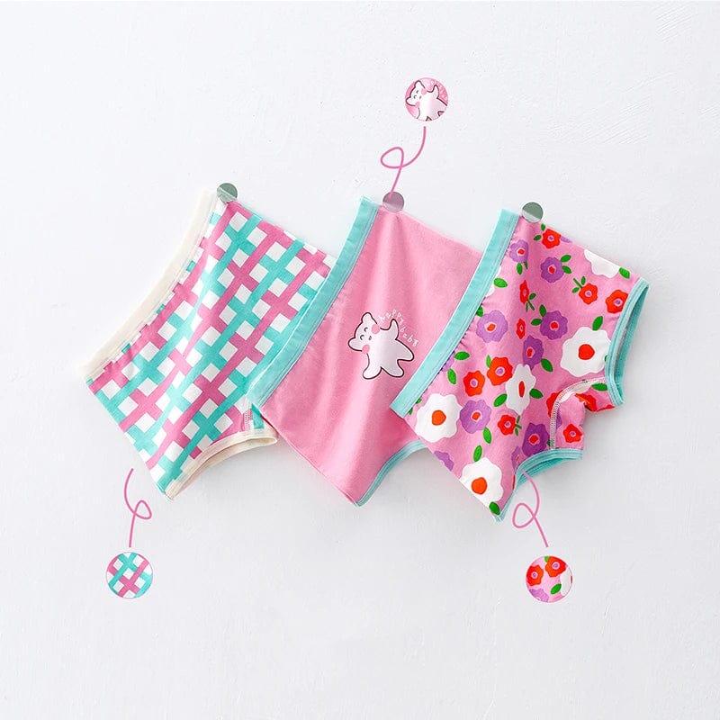 BR-Panties / 2XL(22.5-32.5kg) Underwear