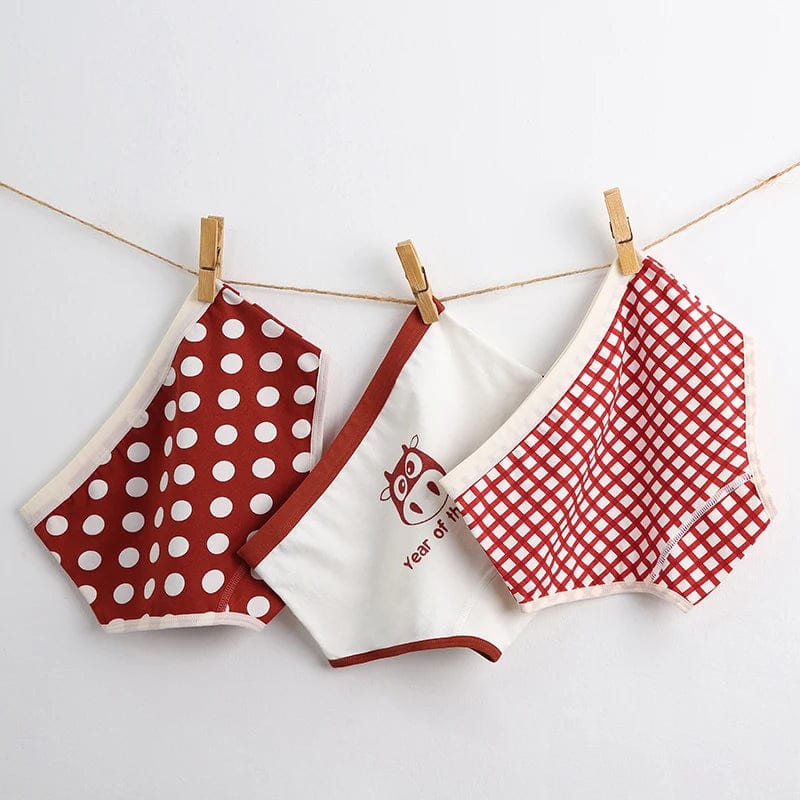 OX-Briefs / 2XL(22.5-32.5kg) Underwear