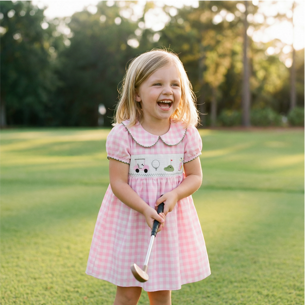 Plaid Embroidered Dress with Doll Collar
