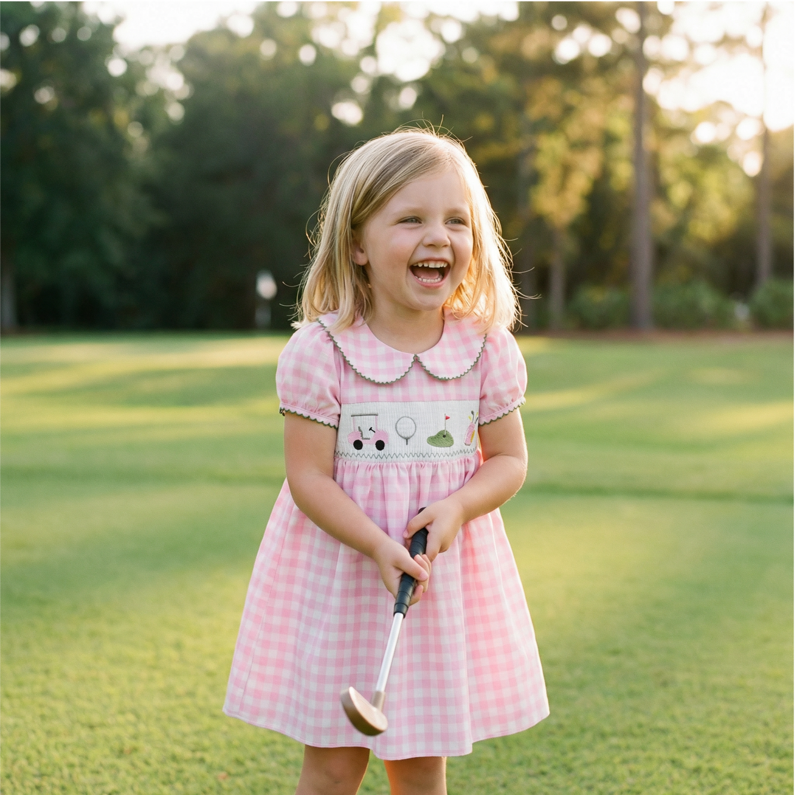 Plaid Embroidered Dress with Doll Collar