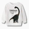 Boy&#39;s Clothing Boys Dinosaur Sweatshirt
