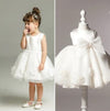 2050 / 24M Christening Gowns
