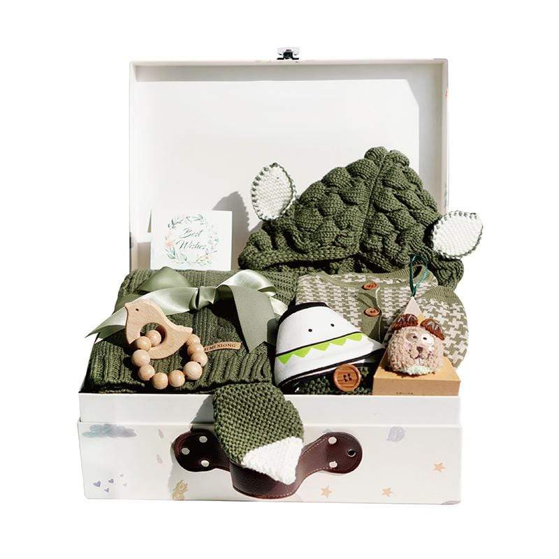 Dinosaur Newborn Gift Box Cotton Suit