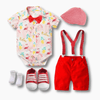 Flamingo Themed Baby Boy Outfit