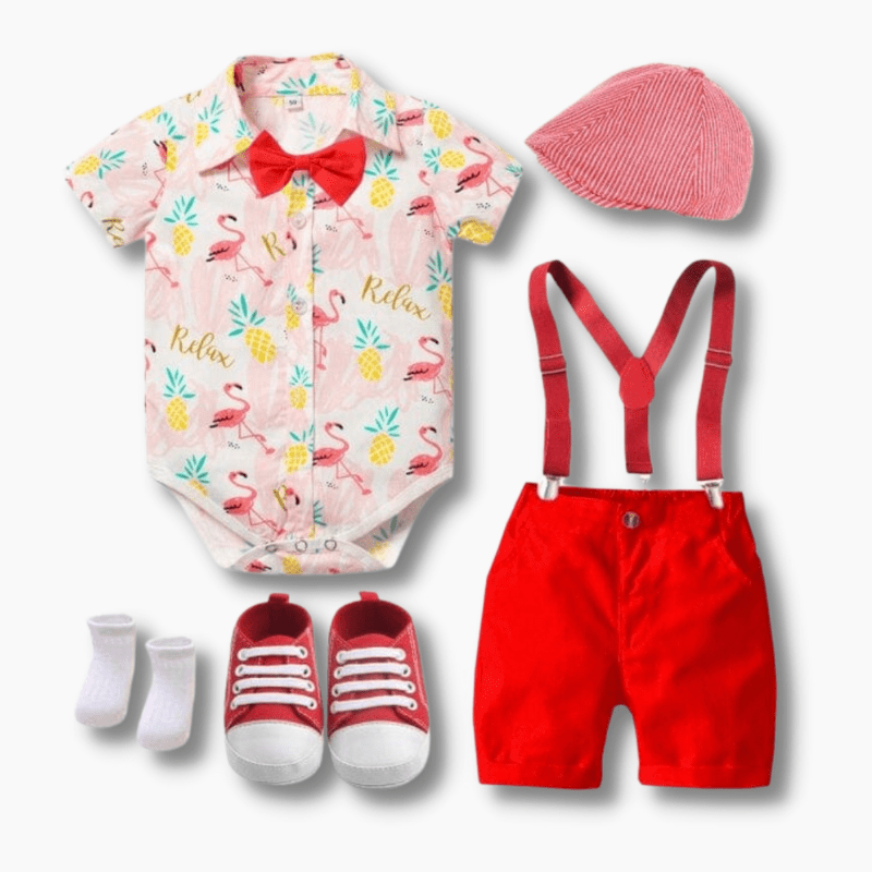 Flamingo Themed Baby Boy Outfit