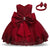 Girl's Clothing 1-Red / 24M Flower Tutu Dress