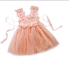 Pink / 3T Lace Tulle Flower Gown Fancy Dridesmaid Dress