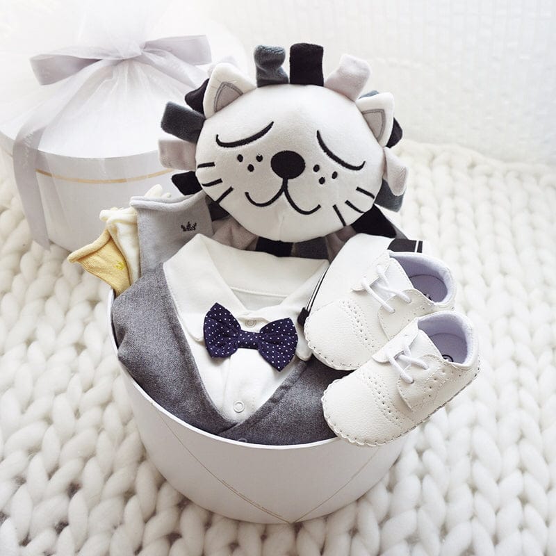 Lion Boy Gift Set