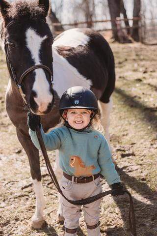 Boy's Clothing Slate Gray / 3T Momorii Baby Knitted Sweater Horse Pattern