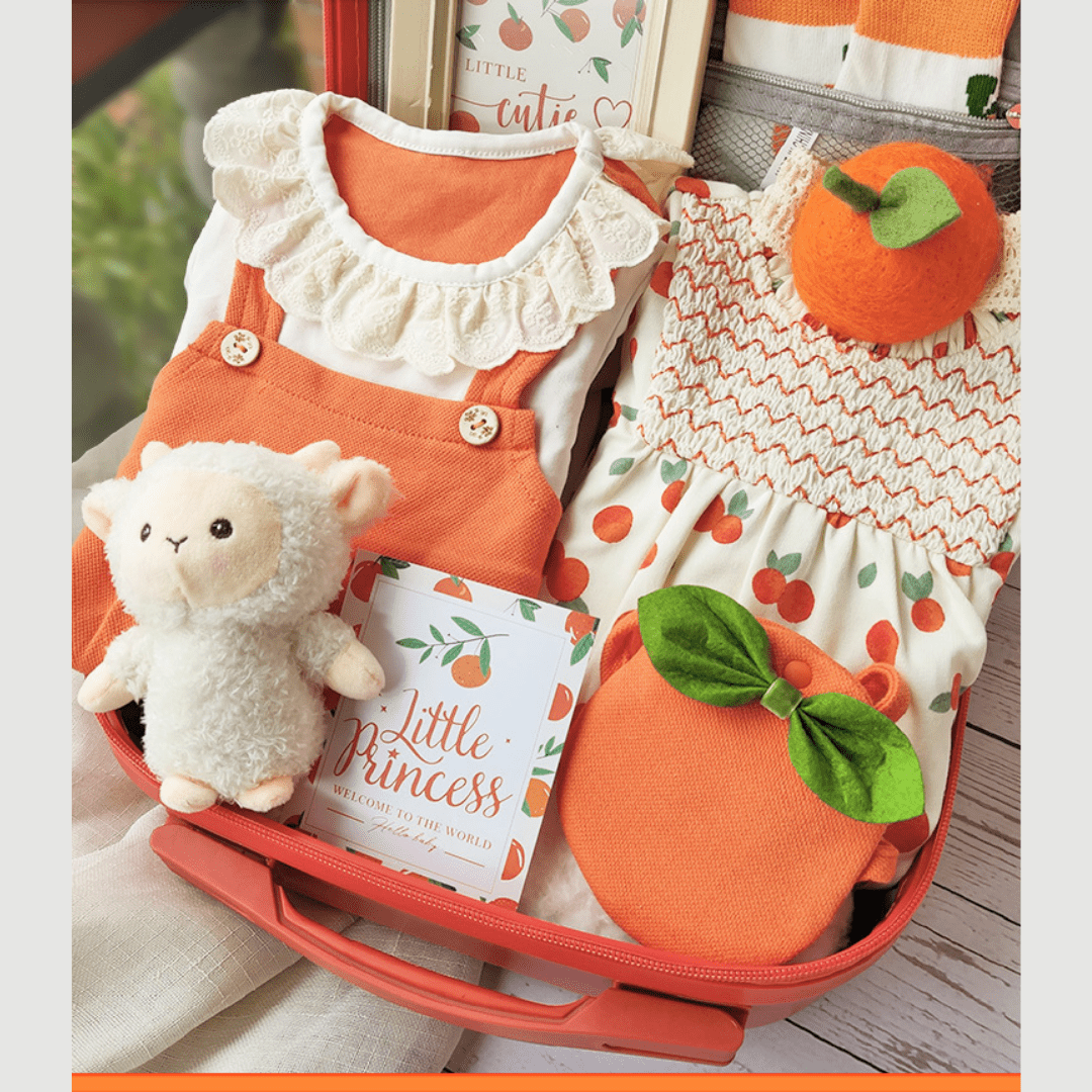 Baby & Toddler Orange Themed Baby Girl Gift Set