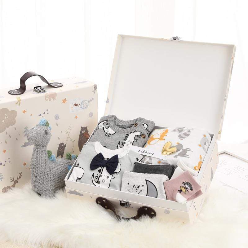 Premium Dinosaur Baby Gift Set